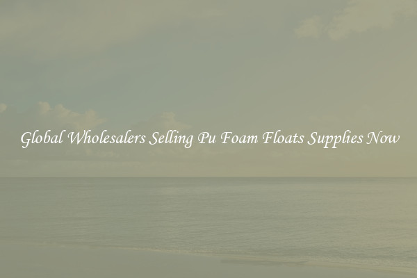 Global Wholesalers Selling Pu Foam Floats Supplies Now