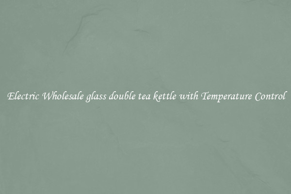 Electric Wholesale glass double tea kettle with Temperature Control