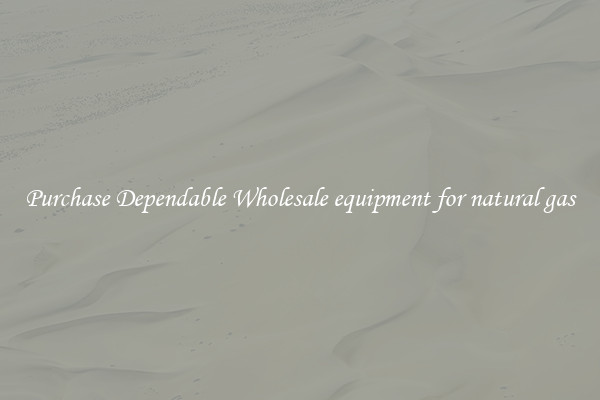 Purchase Dependable Wholesale equipment for natural gas