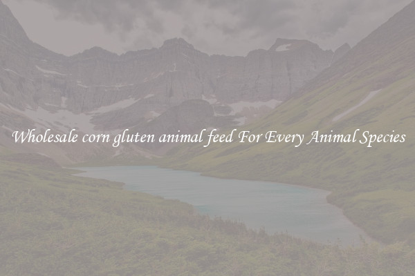 Wholesale corn gluten animal feed For Every Animal Species