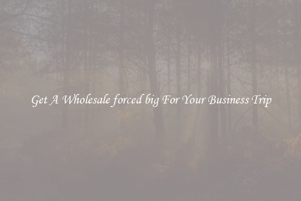 Get A Wholesale forced big For Your Business Trip