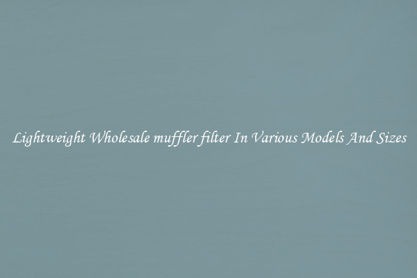 Lightweight Wholesale muffler filter In Various Models And Sizes
