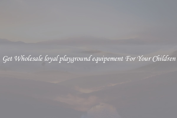 Get Wholesale loyal playground equipement For Your Children