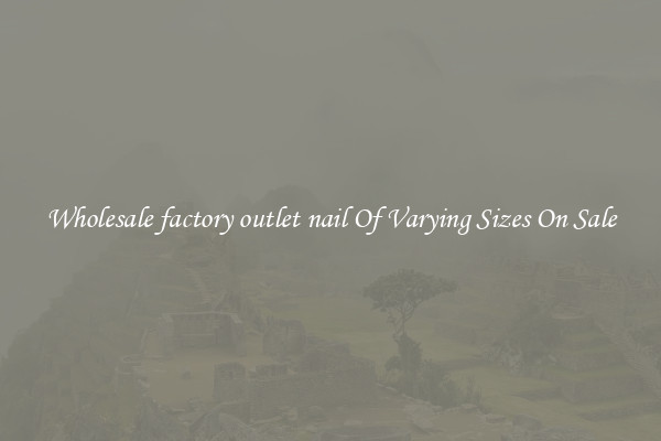 Wholesale factory outlet nail Of Varying Sizes On Sale