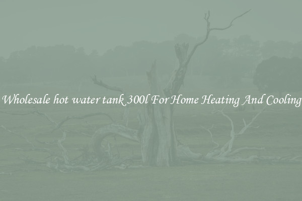 Wholesale hot water tank 300l For Home Heating And Cooling