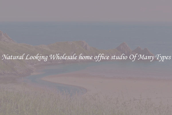Natural Looking Wholesale home office studio Of Many Types