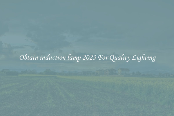 Obtain induction lamp 2023 For Quality Lighting