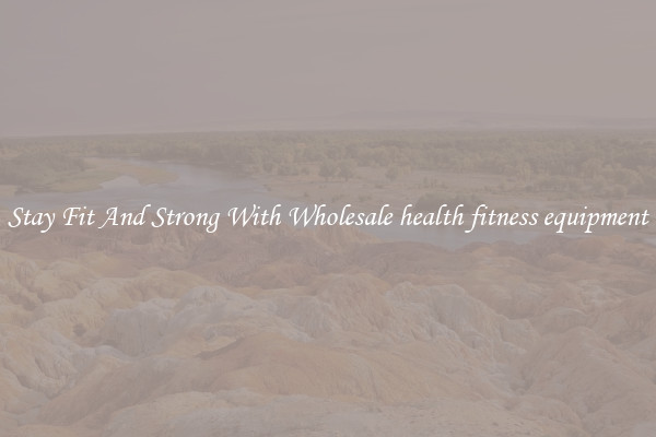 Stay Fit And Strong With Wholesale health fitness equipment