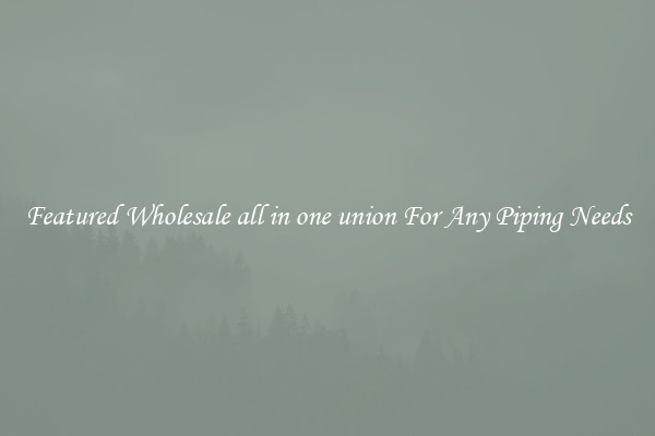 Featured Wholesale all in one union For Any Piping Needs