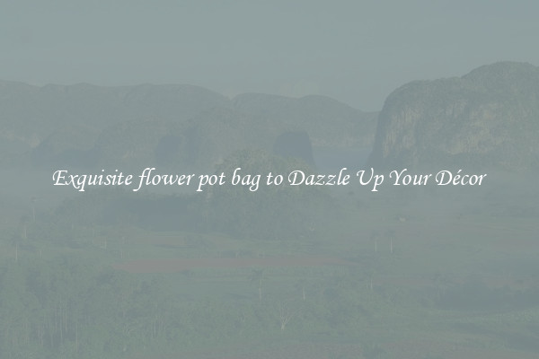 Exquisite flower pot bag to Dazzle Up Your Décor 