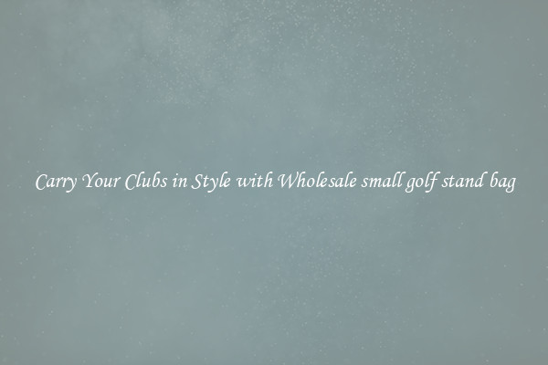 Carry Your Clubs in Style with Wholesale small golf stand bag