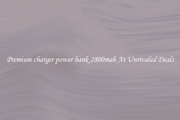 Premium charger power bank 2800mah At Unrivaled Deals