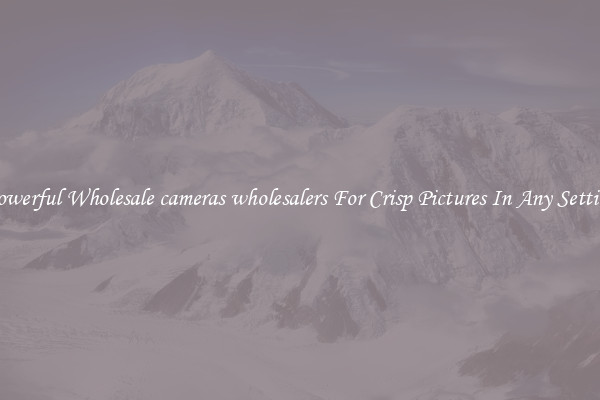 Powerful Wholesale cameras wholesalers For Crisp Pictures In Any Setting