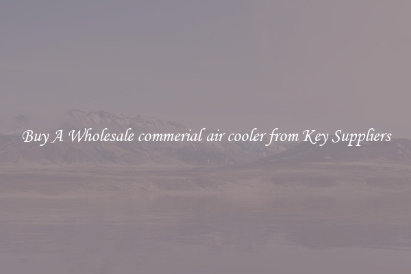 Buy A Wholesale commerial air cooler from Key Suppliers