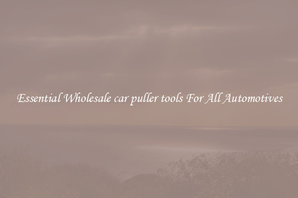 Essential Wholesale car puller tools For All Automotives
