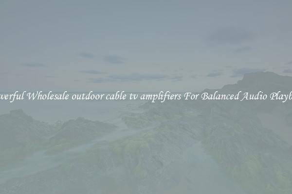 Powerful Wholesale outdoor cable tv amplifiers For Balanced Audio Playback
