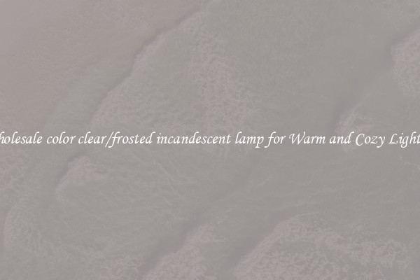 Wholesale color clear/frosted incandescent lamp for Warm and Cozy Lighting