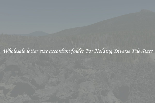 Wholesale letter size accordion folder For Holding Diverse File Sizes
