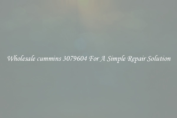 Wholesale cummins 3079604 For A Simple Repair Solution