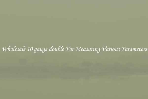 Wholesale 10 gauge double For Measuring Various Parameters